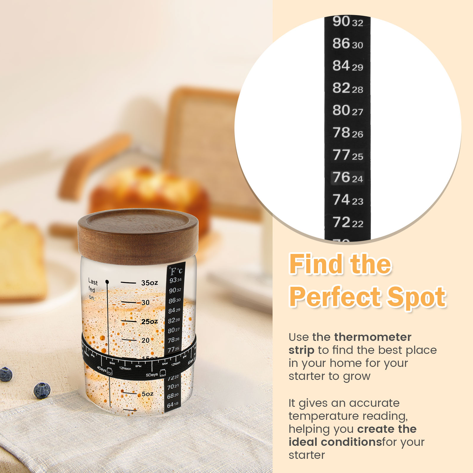 はんだごてチャージャーキットセット、広い口透明ガラス生地発酵 - Kitchen Baking Kit のレビューと価格